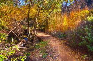 Copper Creek-9870.jpg Copper Creek-9870.jpg